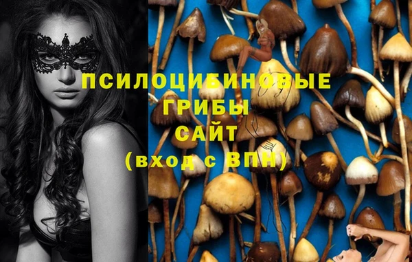 альфа пвп Каменск-Шахтинский