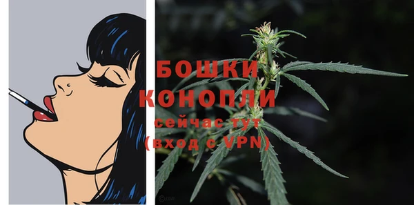 прущий лед Каменка
