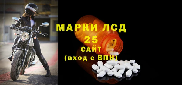 прущий лед Каменка