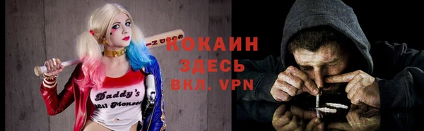прущий лед Каменка