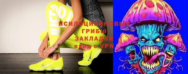 прущий лед Каменка